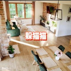 如果这就是爱情 (极速飙车版)