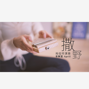 撒野（拇指琴/卡林巴琴）（翻自 竾颜音）