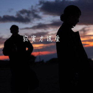 寂寞才说爱(情愿)