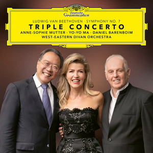 Triple Concerto in C Major, Op. 56:1. Allegro