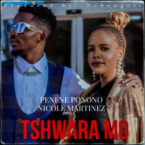 Tshwara mo