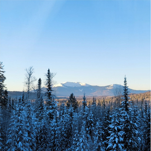 Встану поутру