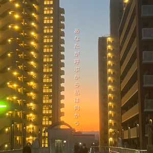 嫌いになる理由