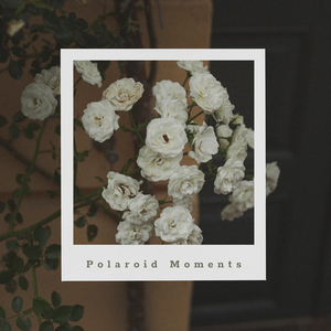 Polaroid Moments