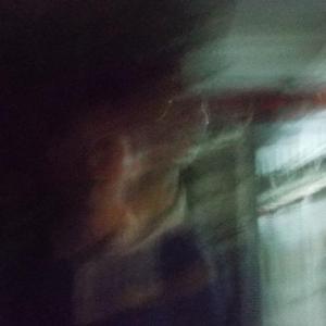 5.关于我 - 李书帆的片段