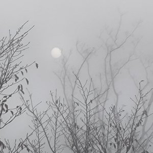 星光落进你眼睛