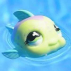 stupid fish song (leather)