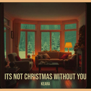 Its Not Christmas Without You