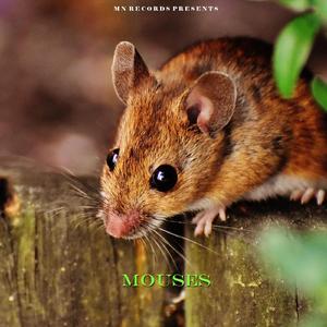 Mouses
