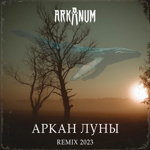 АРКАН ЛУНЫ (remix 2023)