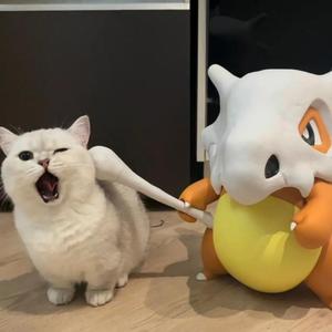 大城小爱