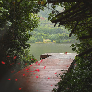 New Beginning
