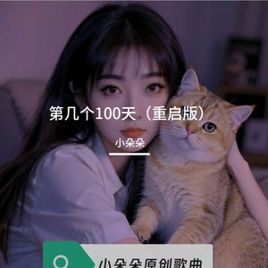 第几个100天（重启版）