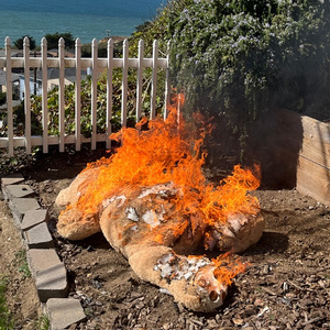 Twice(本性难移）