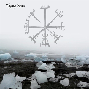 Vegvisir