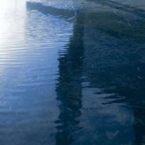 好像掉进爱情海里（Cover.赵露思，谷嘉诚）