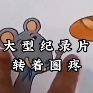 大型纪录片《转着圈疼》