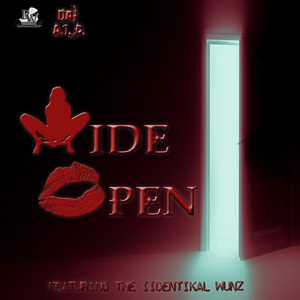 Wide Open (feat. Iidentikal Wunz)