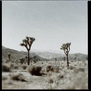 lovesick ballad 1 (Slowed+Reverb)