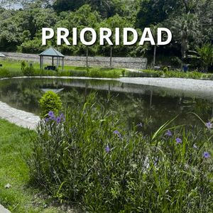 Prioridad
