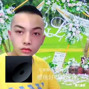 哥哥请媒来说亲