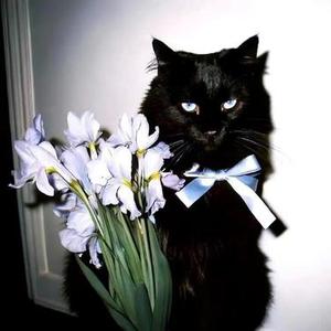 青春的颜色  (女生版)