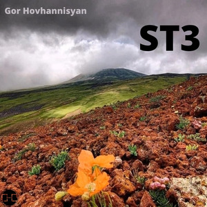 ST3