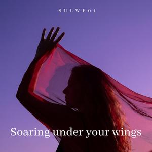 Soaring under your wings