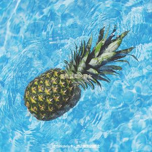 适合酒店离散的音乐