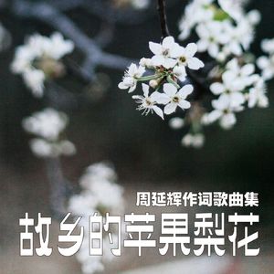 苹果梨花