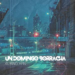 UN DOMINGO BORRACHA