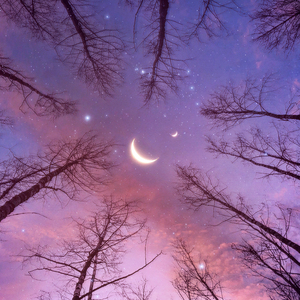 Majestic (Soundbath I)