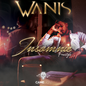 Insomnie (Freestyle)