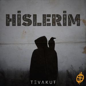 Hislerim