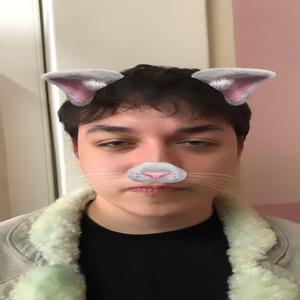 TERLIK