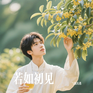 若如初见