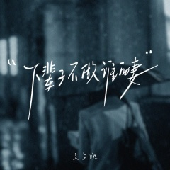 下辈子不做谁的妻