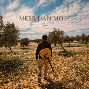 Meer Dan Mooi