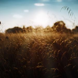 爱要怎么说出口 (DJ版)