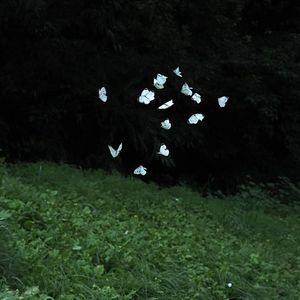 [FREE] “SayGoodbye” Jerk x Sample Type Beat