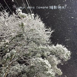 Lueur dans l'ombre（暗影微光）
