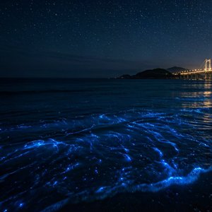 蓝夜海岸