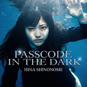 Passcode in the Dark