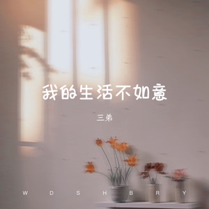 我的生活不如意