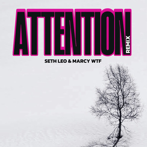 Attention (Remix)