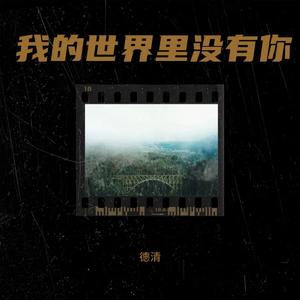 我的世界里没有你