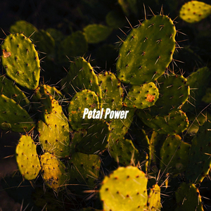 Background for Iced Double Americano