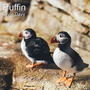 Puffin (Tv Version)