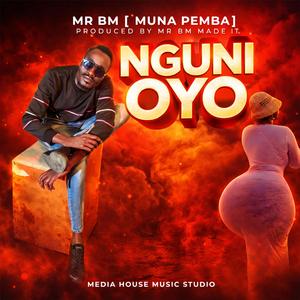 NGUNI OYO