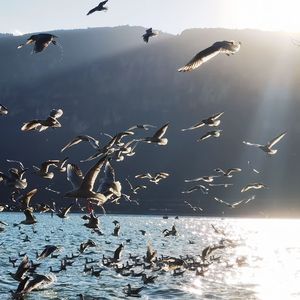 今天明天总有一天